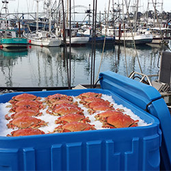 Englund Marine & Industrial Supply - We've got 🎣 SmaK Plastics, Inc. Half  Tote Insulated Fish Boxes 🎣 available! Perfect for commercial fishing,  hunting, outdoor activities and more! Find them in-store or