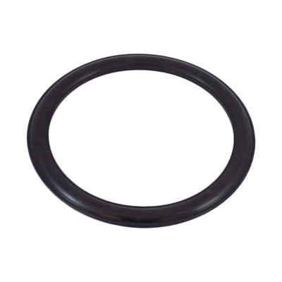 Gasket Only - EPDM for GEM Cap